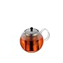 Bodum Assam 17-Ounce Glass Tea Press with Stainless-Steel Filter