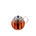 Kitchen & Housewares : Bodum Assam 17-Ounce Glass Tea Press with Stainless-Steel Filter