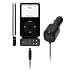 Belkin Car Kit for Ipod