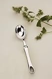 Ice Cream Scoop