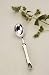 Ice Cream Scoop