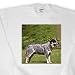 Dogs Australian Cattle - Australian Cattle Dog - Sweatshirts