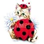 Ladybug Kitten Youth Sweatshirt