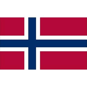America's Flag Company FF4X6NNOR1 4-Foot by 6-Foot Nylon Norway Flag