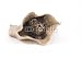 Wallmonkeys Peel and Stick Wall Decals - Kitten Hiding in a Bag - Removable Graphic