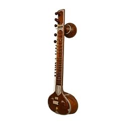 Sitar, Standard, Light Padded Nylon Case
