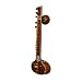 Sitar, Standard, Light Padded Nylon Case