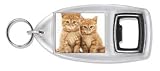  : TWO GINGER KITTENS Bottle Opener