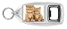 Kitchen & Housewares : TWO GINGER KITTENS Bottle Opener