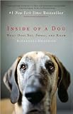 Inside Of A Dog - What Dogs See, Smell, And Know