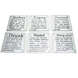 Drunk Glass Coasters Set of 6