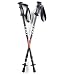 Leki Trail Trekking Pole