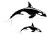 Killer Whale Laser Die Cut Multi-Pack