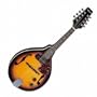 Aria AM200E Mandolin