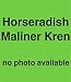 Maliner Kren Horseradish - 1 Pack ( 5 Roots)