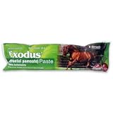 Exodus Paste - Apple Flavor 23.6 gm Syringe