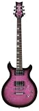 Daisy Rock Elite (Midnight Purple Burst)