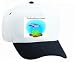 White Cap with fish, aquarium