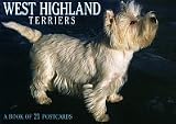West Highland Terriers (For the Love of)