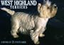 West Highland Terriers Postcard Book (For the Love of)