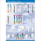 The Holistic Spine-Associations and Reflected Areas Anatomical Chart Laminated-CRSP