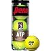 Penn ATP Regular Duty Tennis Balls (Can)