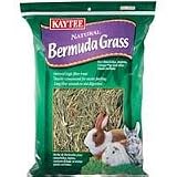 KT BERMUDA GRASS 16 OZ