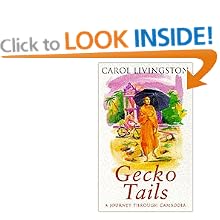 Gecko Tails: Journey Through Cambodia