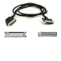 Belkin Pro Series Non-IEEE Parallel Printer Cable with Right Angle Connectors (A/B) 1.8m