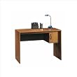 Sauder Beginnings Student Desk