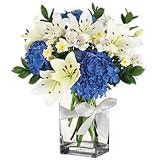 Flowers - Glory