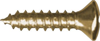 #4 (FENDER) PICKGUARD SCREW GOLD (BAG OF 20 )