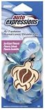 Auto Expressions MEHLT-1 Hawaiian Lei Turtle Air Freshener