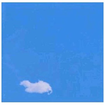 Plastic Ono Band - The Plastic Ono Band: Live Peace In Toronto - Zortam Music