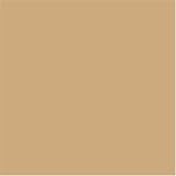  : Warner's Women's No Wedgies, No Worries Hipster, Mocha, Small