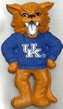 Kentucky Wildcats Magnet (Set of 6)