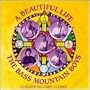 Beautiful Life