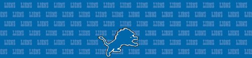 Detroit Lions Team Auto Visor Decal
