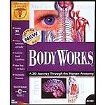 Bodyworks 6 by 