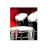 Acoustic Pro Triggers DTS Snare Trigger