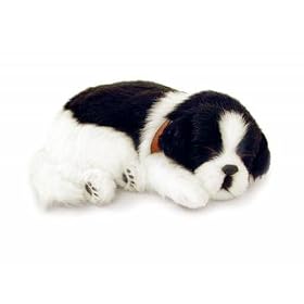 Perfect Petzzz Border Collie by 