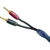 AudioQuest Type 4 10 ft. pair UST-UST G 10-foot pair speaker cables