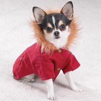 Small-Hooded Camp Jacket--Dog--