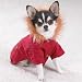 Small-Hooded Camp Jacket--Dog--