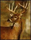 Dewitt 7 Feet x100 Feet Deer Fence Netting