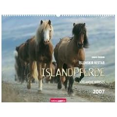 Islandpferde 2007