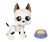 Hasbro - 577-  Poupee - Petshop Single B - Chien Blanc Avec Un Oeil Marron et Un Oeil Bleu et Sa Gamelle
