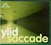 Saccade