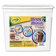 Crayola 23-2412 Crayola Model Magic Naturals