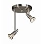 Shuttle Two Light Track Light